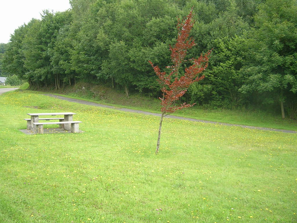 Pique-nique de Pont-à-Smuid