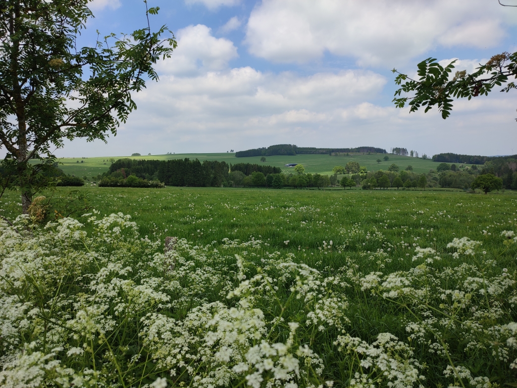 Sources de la Lienne