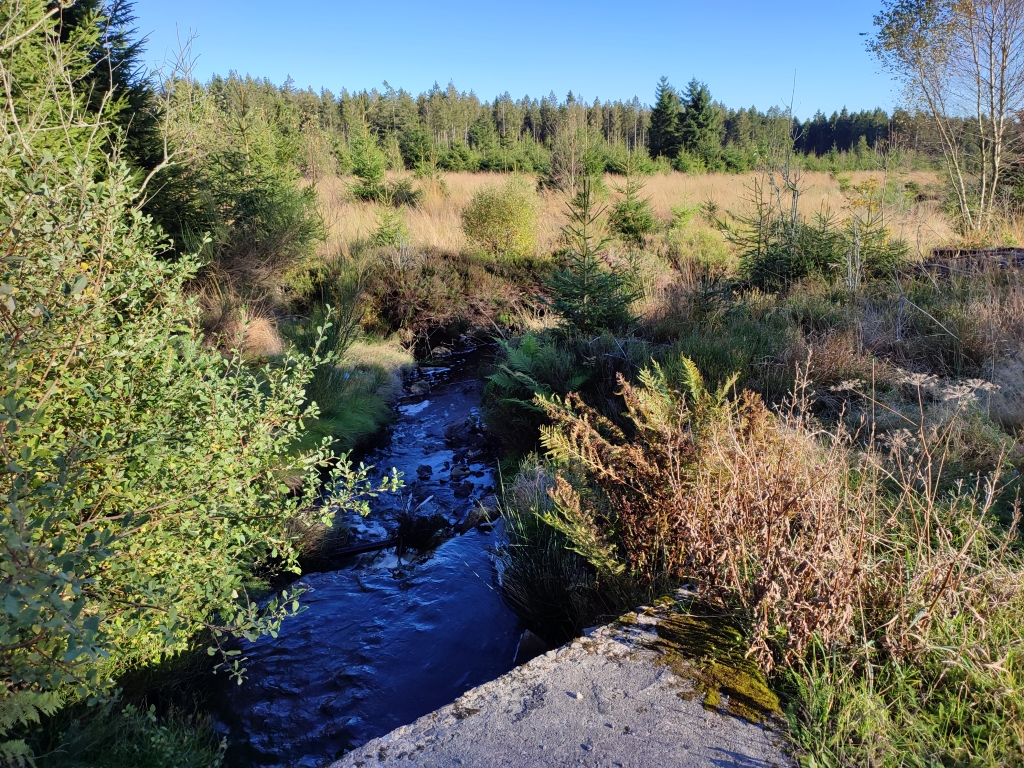 Source du Bayehon