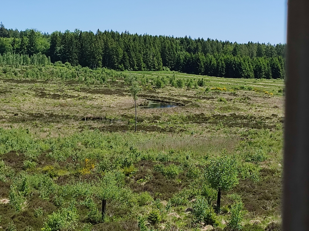 Source de la Belle Meuse