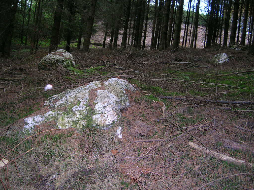 Blancs cailloux de Mousny