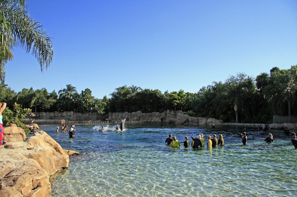 Discovery Cove