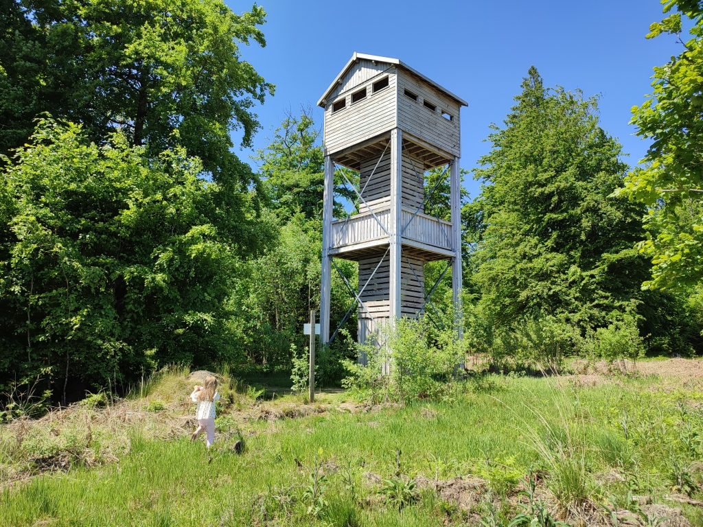 Tour d’observation de la Fagne de Samrée