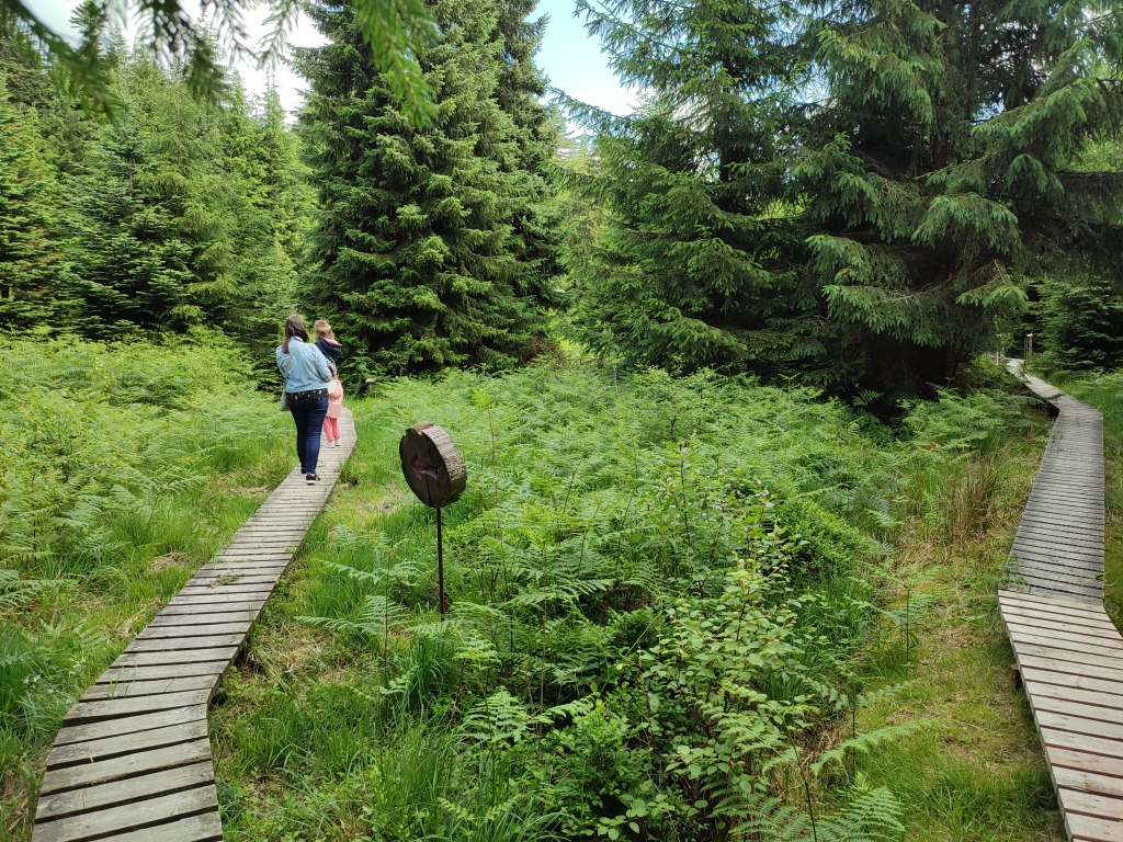 Arboretum de Mefferscheid