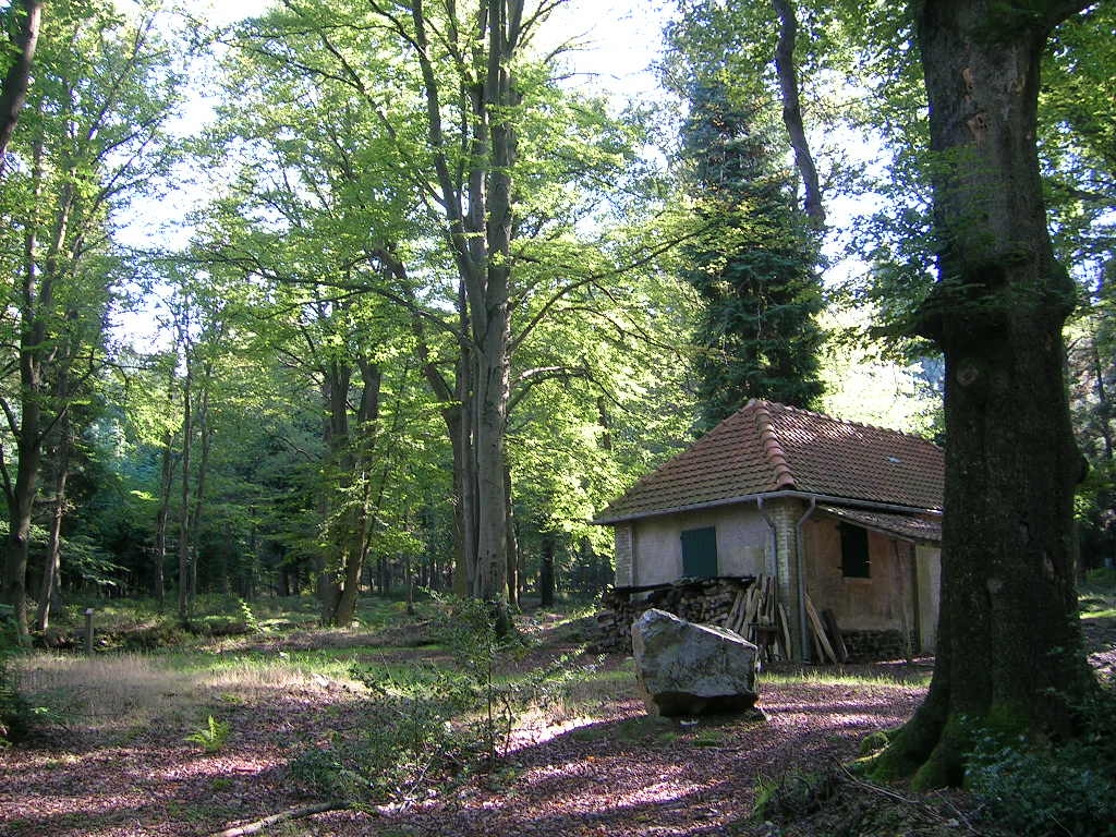 Arboretum de Tahanfagne