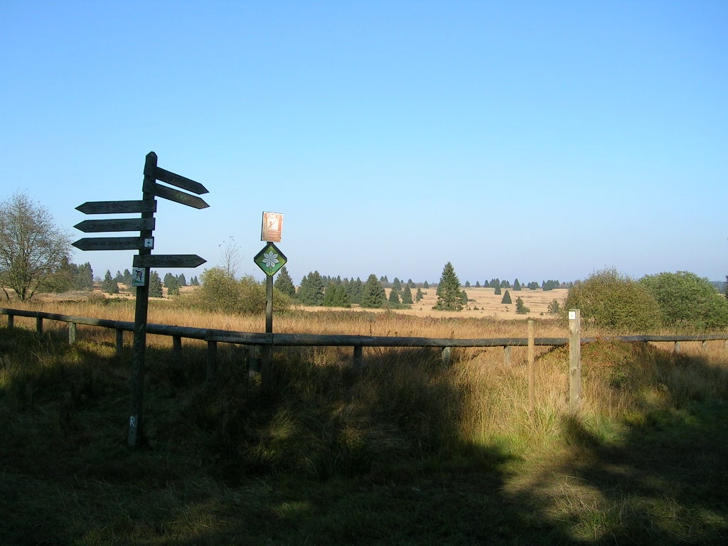 Point de vue de la Fagne Wallonne