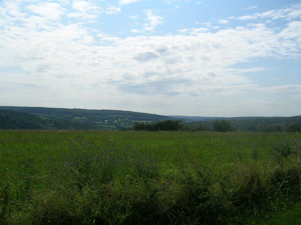 Point de vue du Chenê