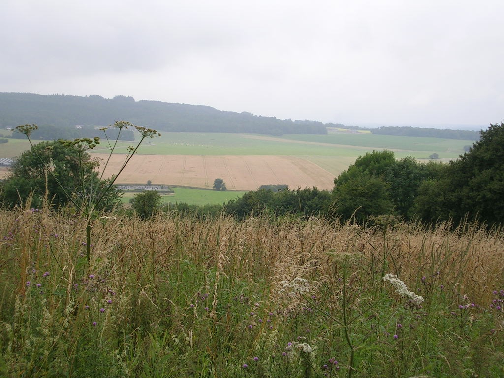 Point de vue de Pavillonchamps