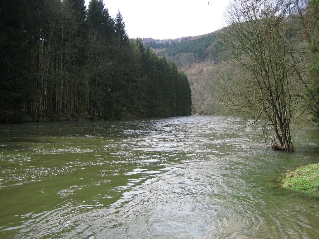 Point de vue des Wintchirs