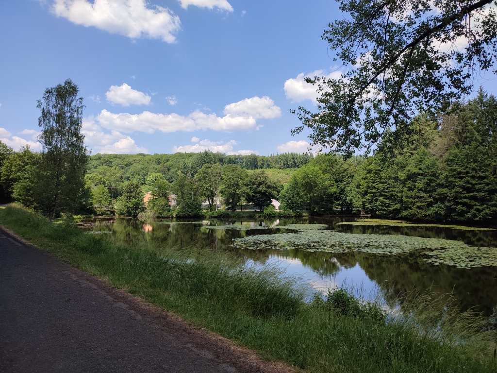 Etang de Bologne