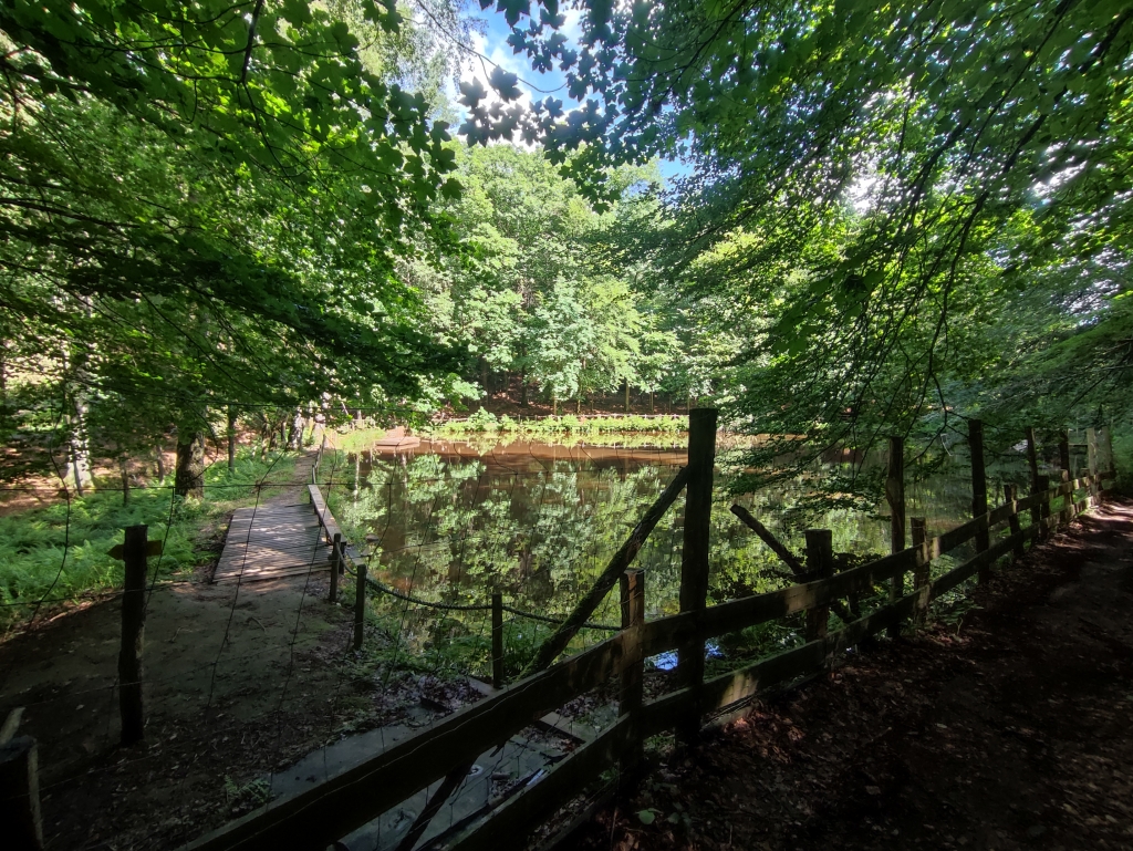 Etang du Prieur