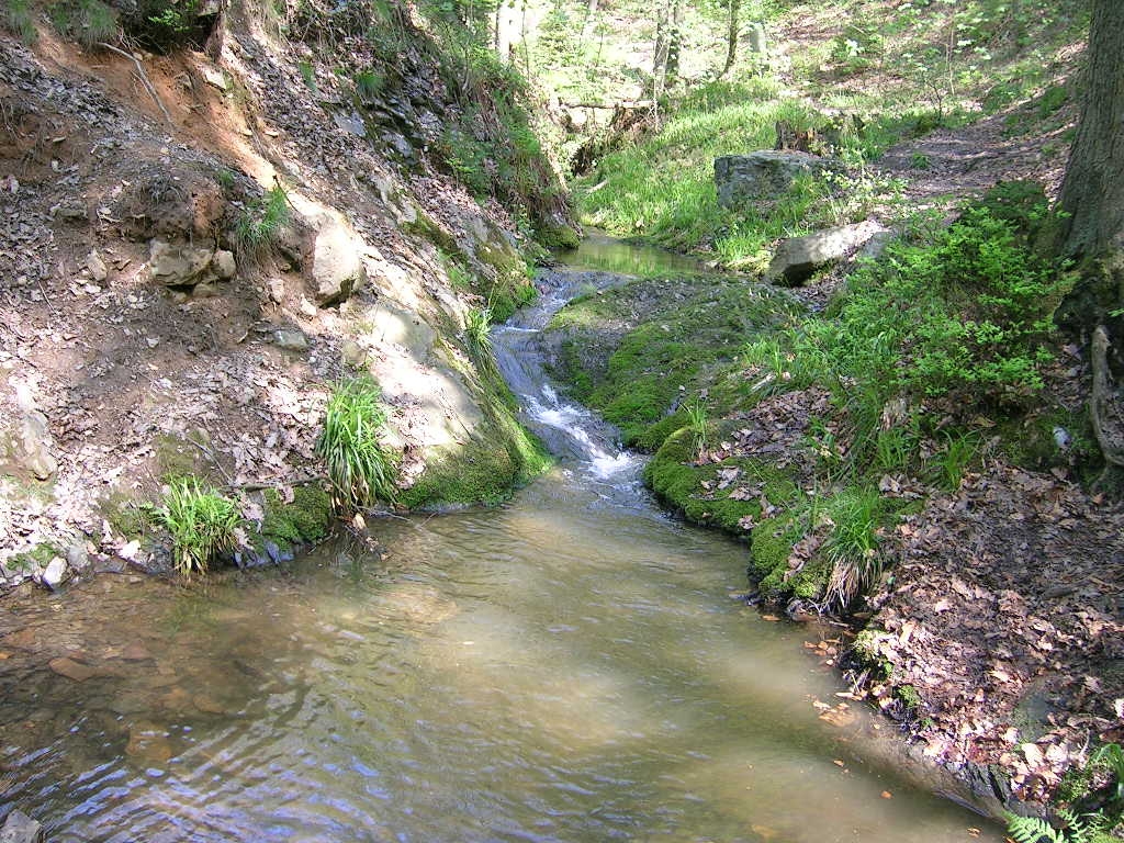 Bain du Cerf