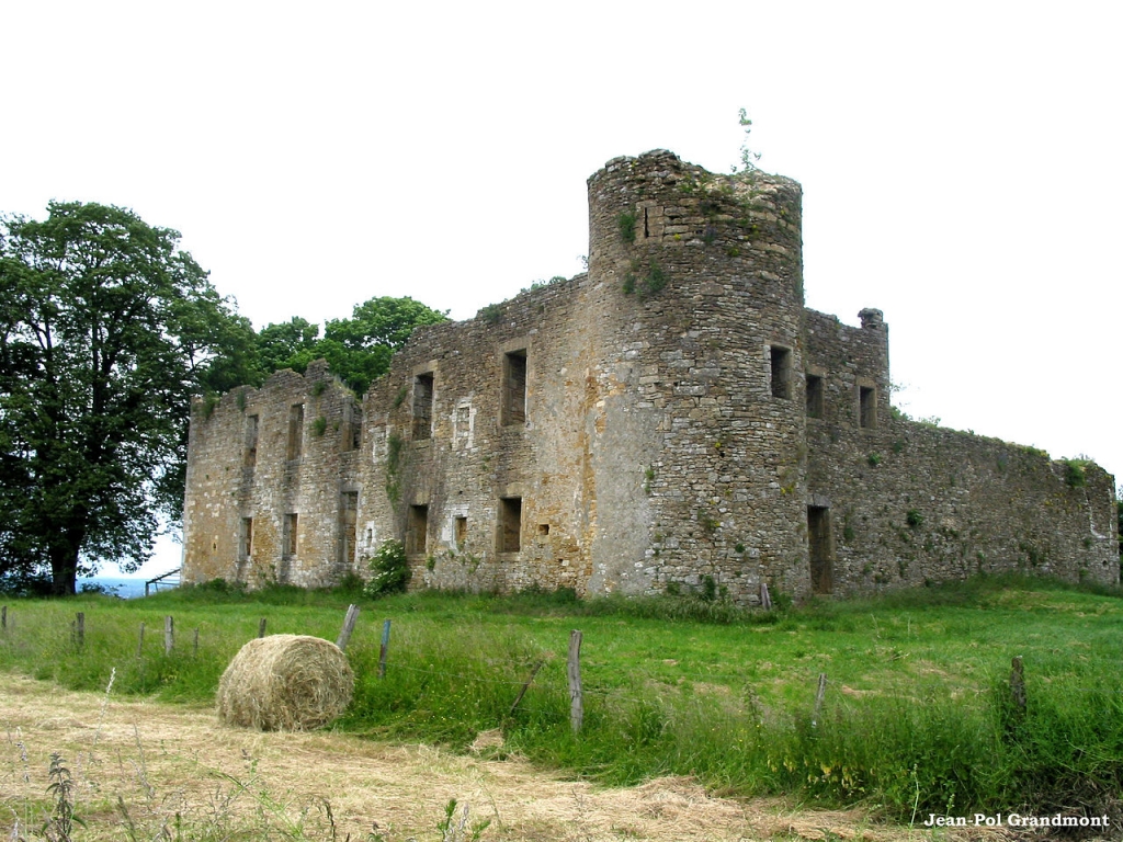  Ruines du Château de Montquintin