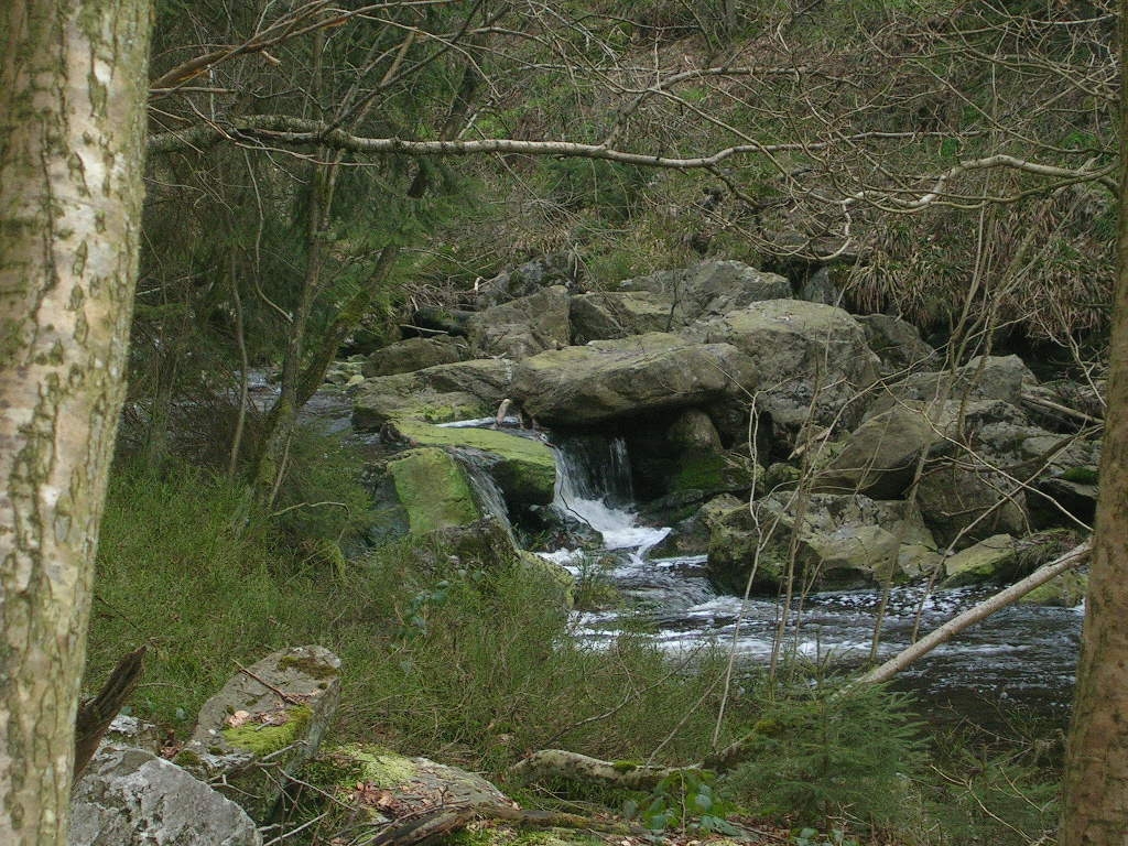 de Jalhay à la Baraque Michel