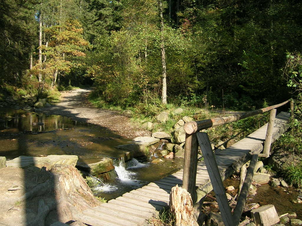 la Cascade du Bayehon