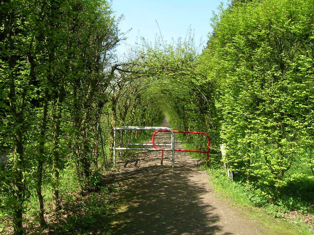 La Charmille du Haut Marais