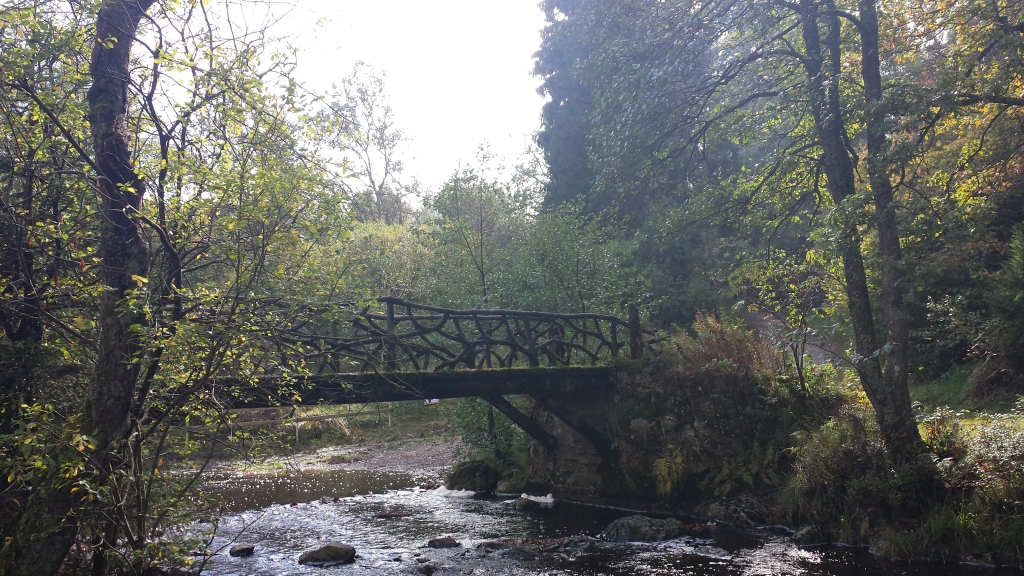 la Passerelle du Centenaire