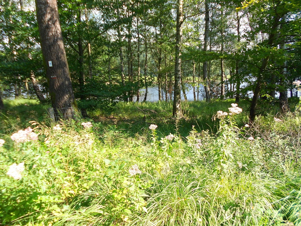 Le Lac d’Eupen