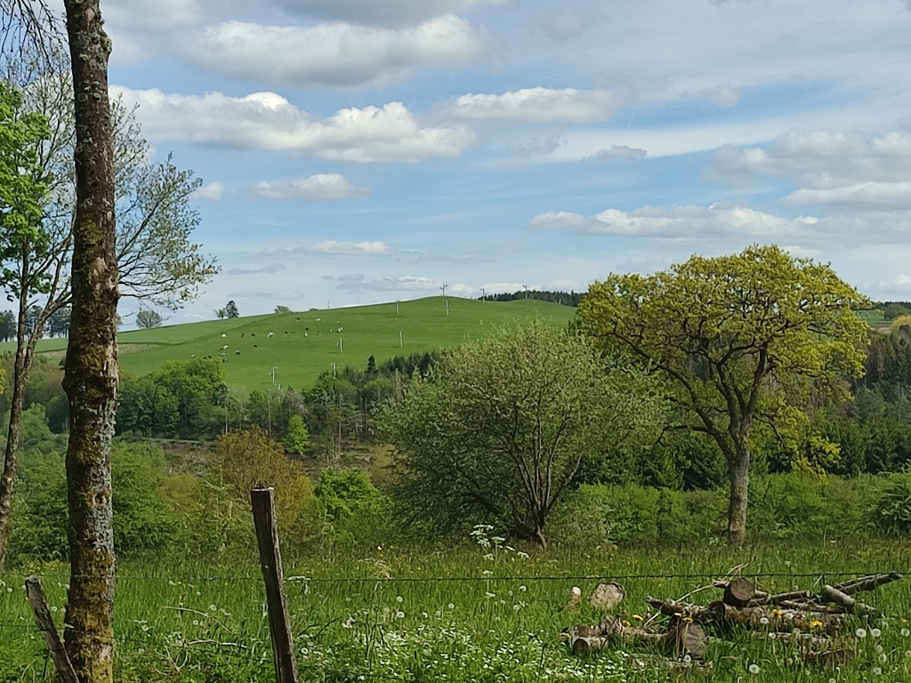 La Piste du Monty