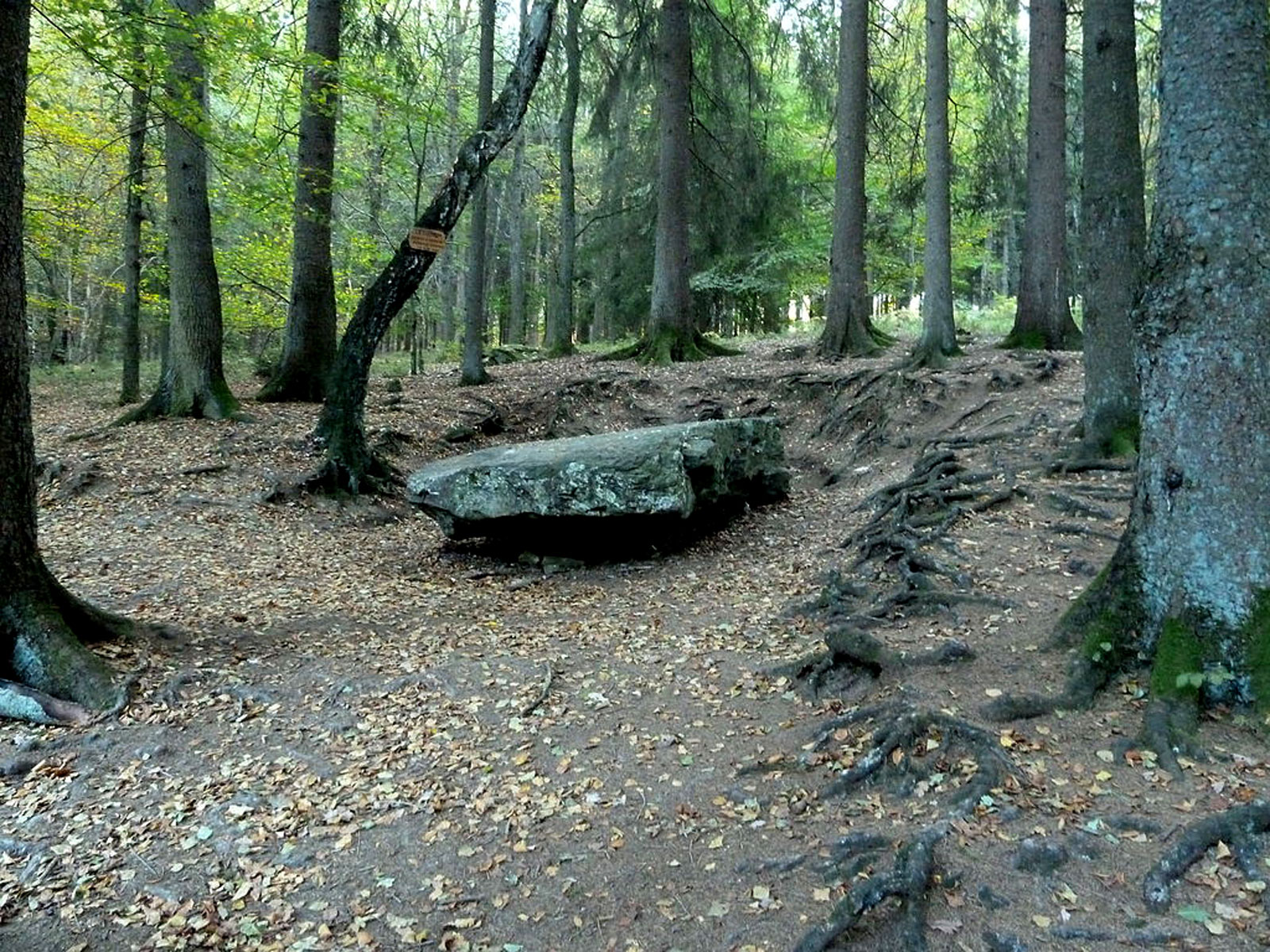 Le Dolmen de Solwaster