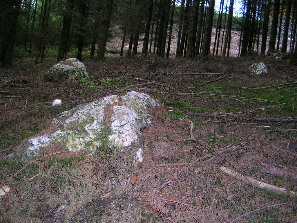  Blancs Cailloux de Mousny