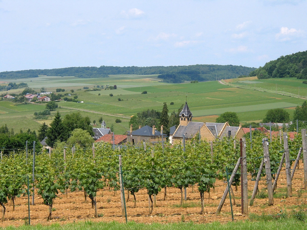  Vignes du Poirier du Loup