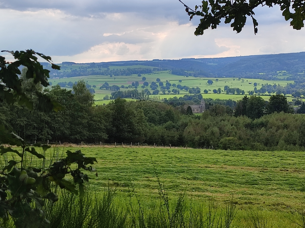 la Réserve naturelle des Prés de la Lienne