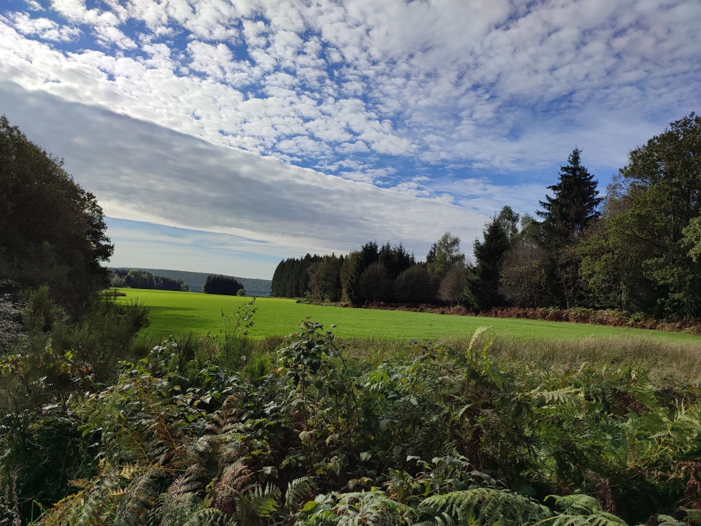 la Fange de Mirenne