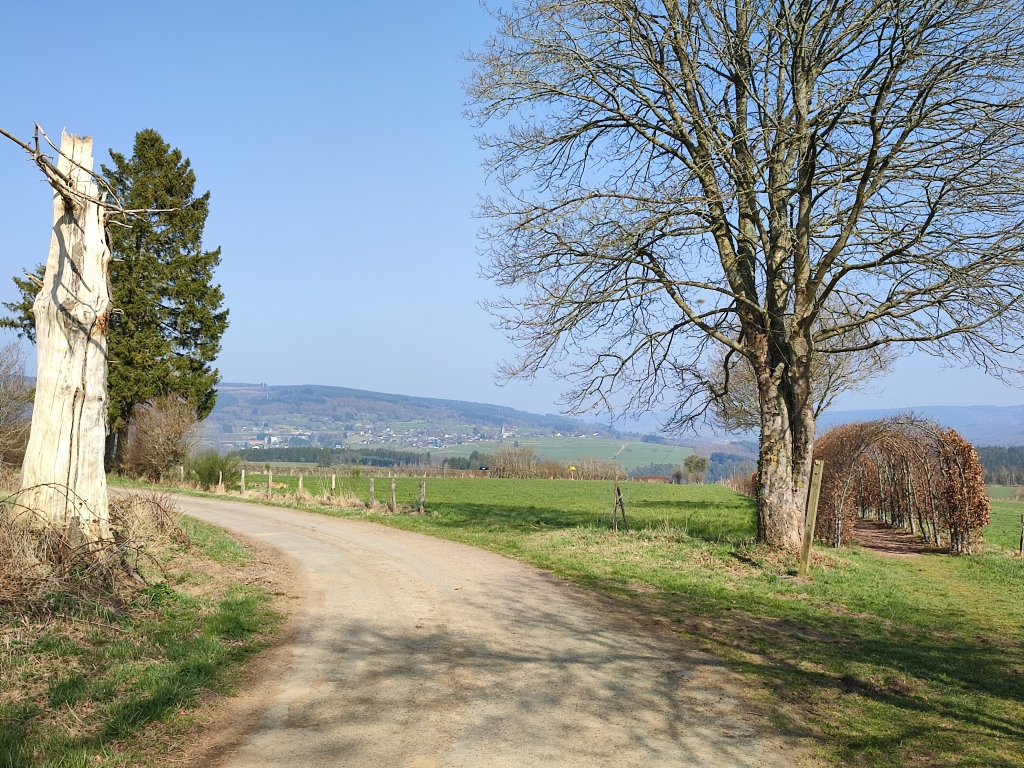 la Charmille de Rahier