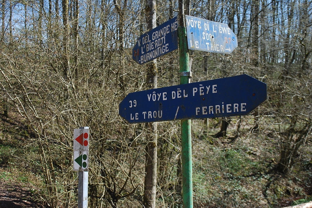  Barbecue du Trou de Ferrières