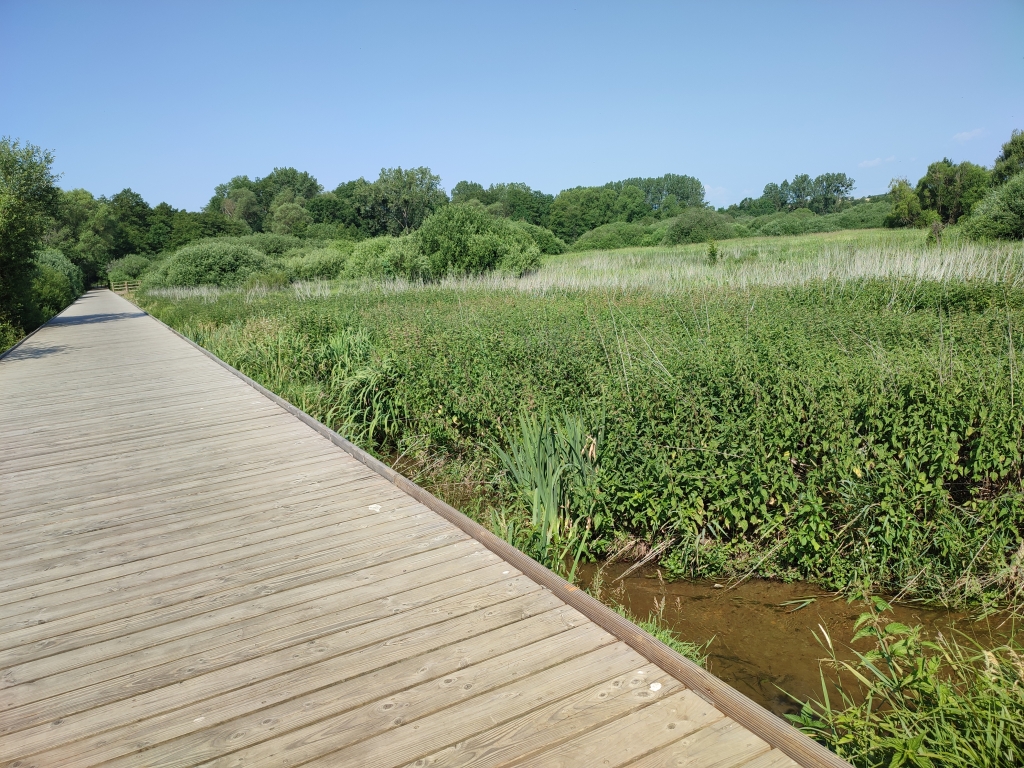 Marais de la Cussignière