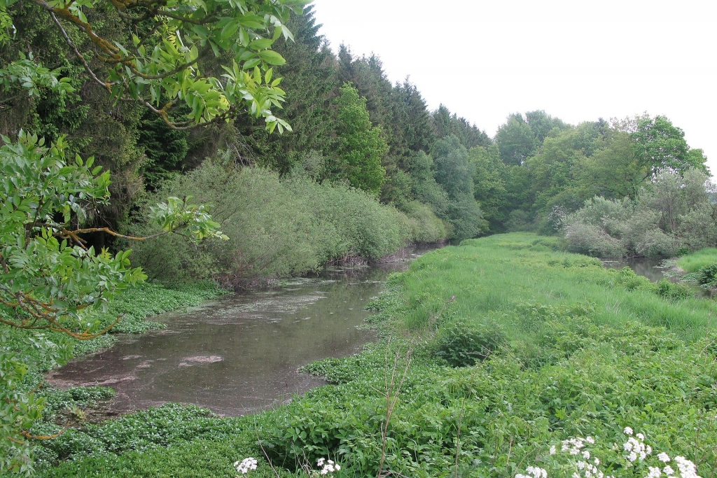  Canal de Bernistap