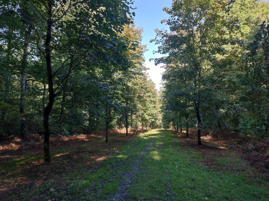 L’Arboretum de la Tessenire