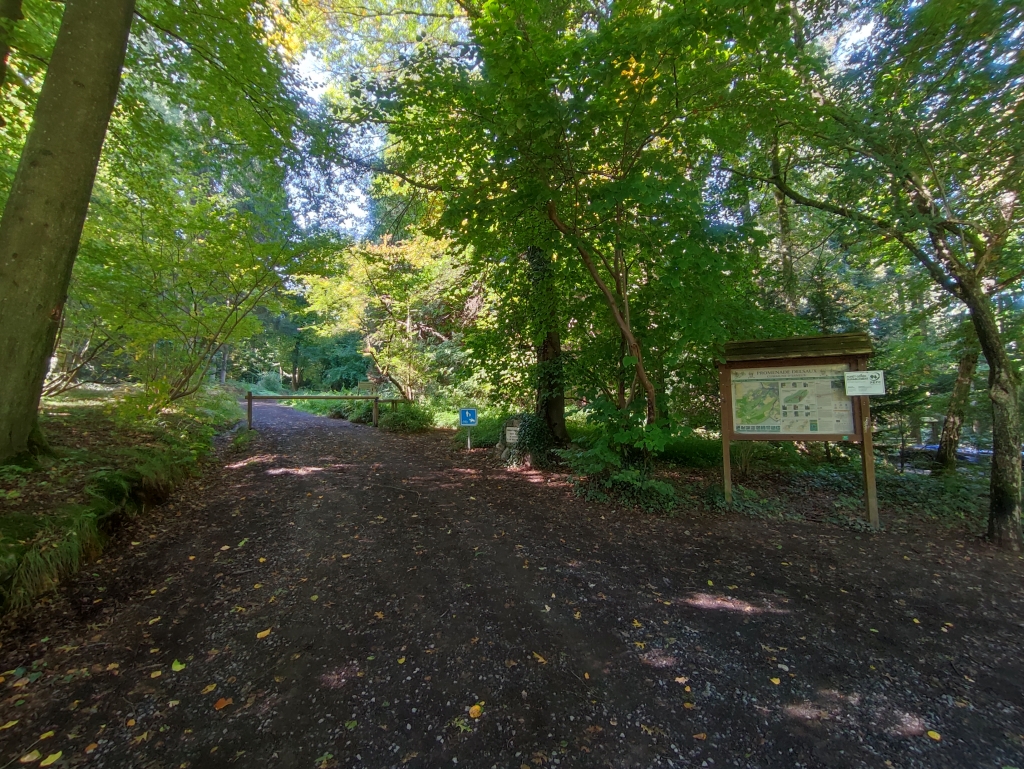 la Promenade Delsaux