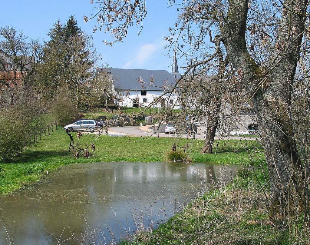 Le Sentier didactique de Bertogne