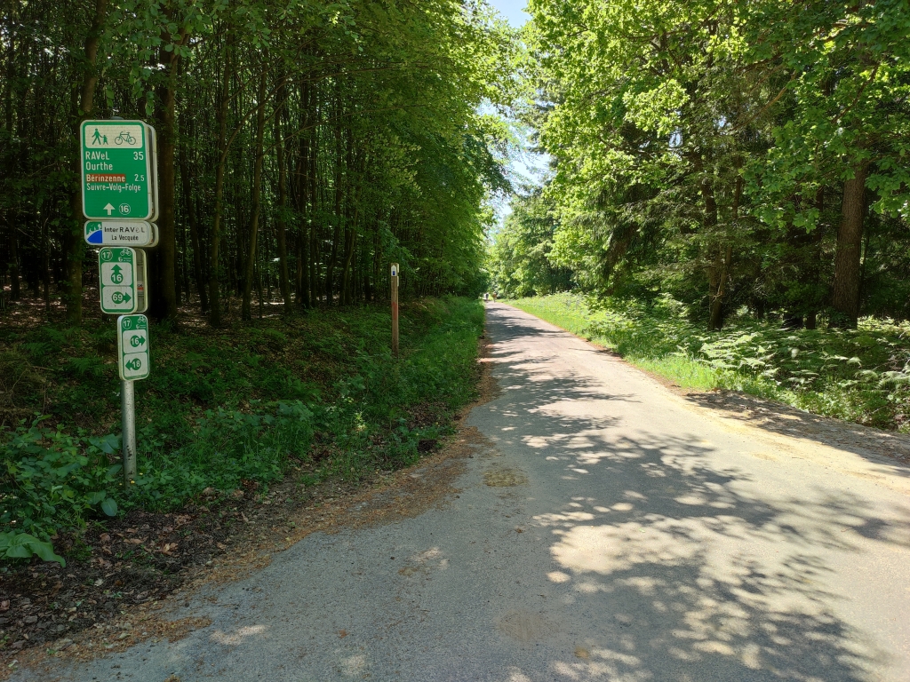 Le Chemin forestier Nelis