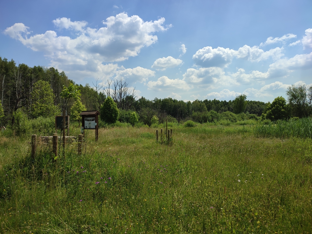 Site de l’Ilé