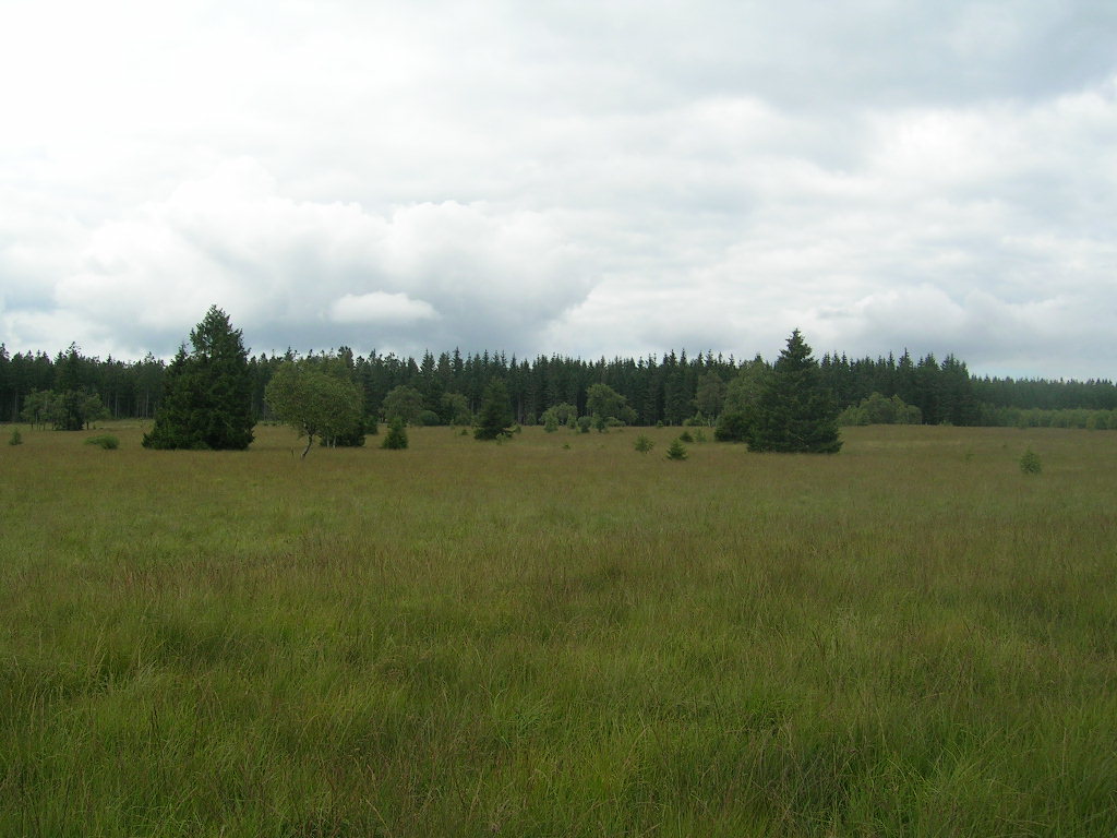 La Fagne de la Poleûr