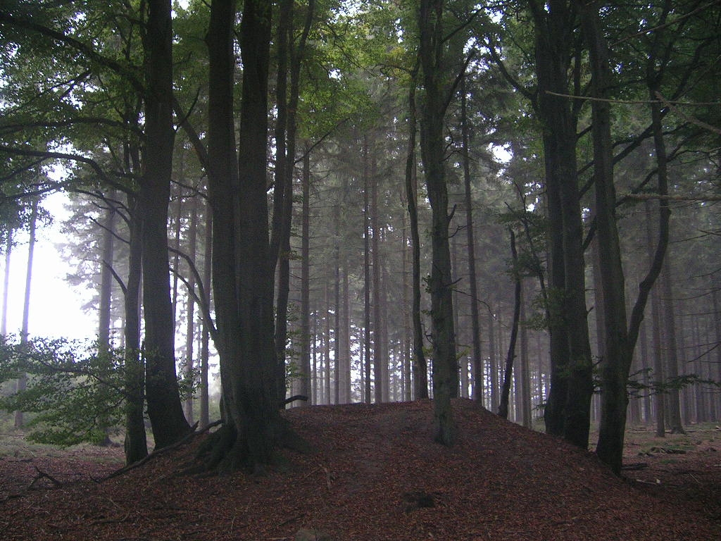 Le Centre européen du Cheval