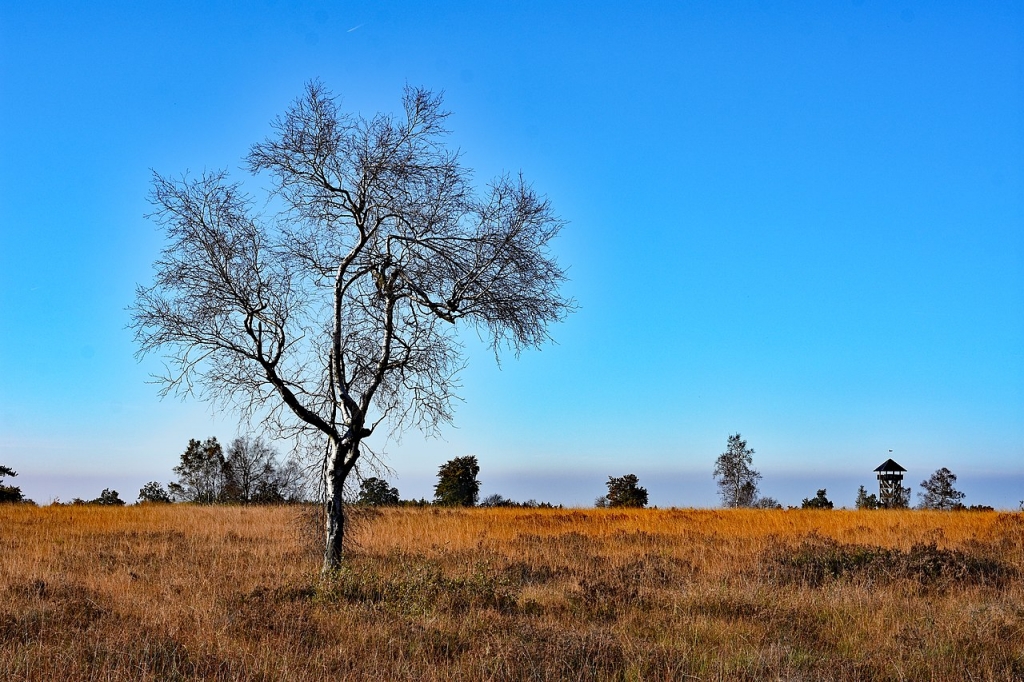 L’Expédition dans la Fagne de Malchamps