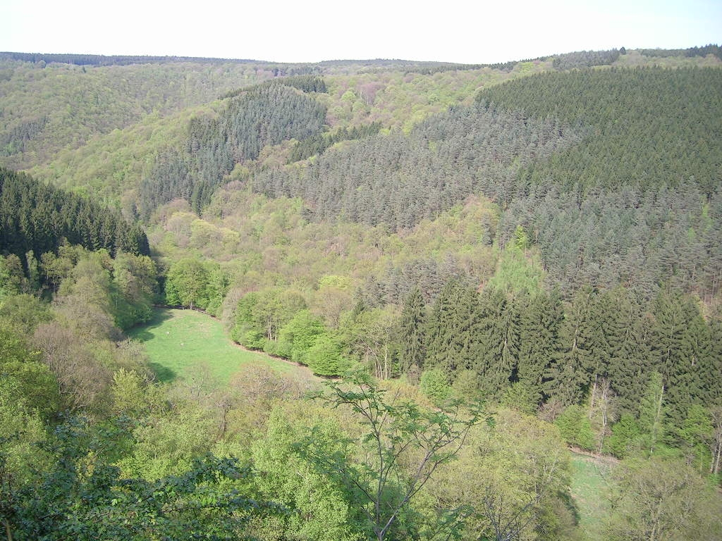 Les Vallées du Ninglinspo et de la Chefna