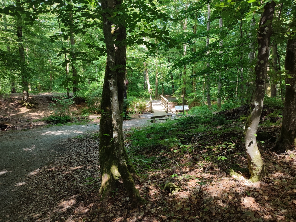  Sentier didactique du Bois de la Fontaine